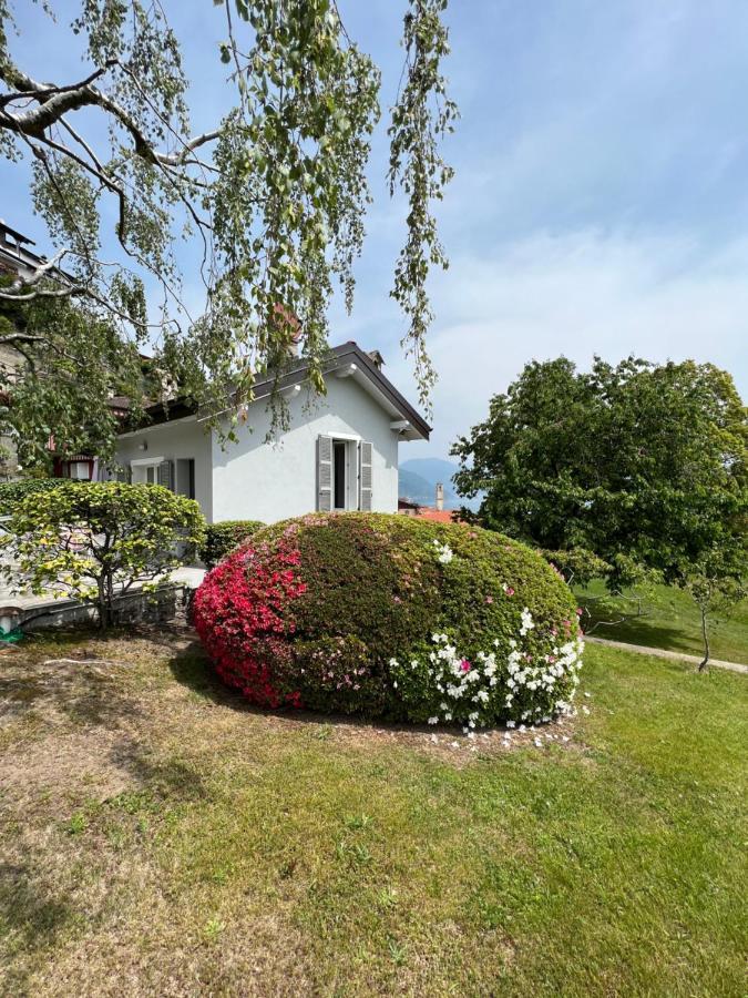 Le Betulle Villa Oggebbio Eksteriør bilde