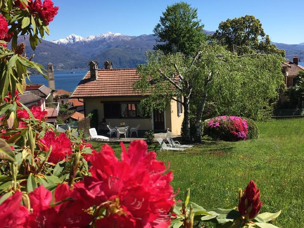 Le Betulle Villa Oggebbio Eksteriør bilde