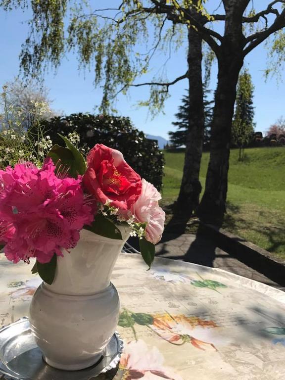 Le Betulle Villa Oggebbio Eksteriør bilde