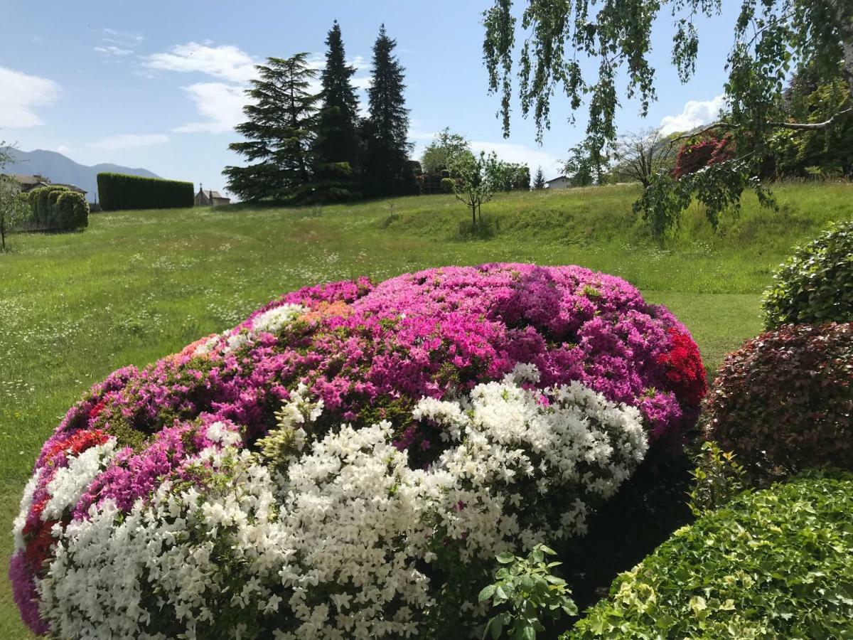 Le Betulle Villa Oggebbio Eksteriør bilde